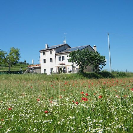 Bed & Breakfast Le Coste Lazise Exterior photo