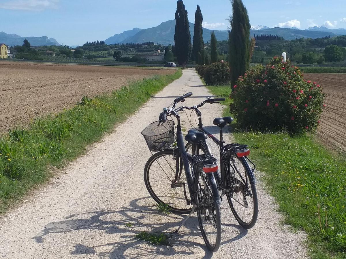 Bed & Breakfast Le Coste Lazise Exterior photo