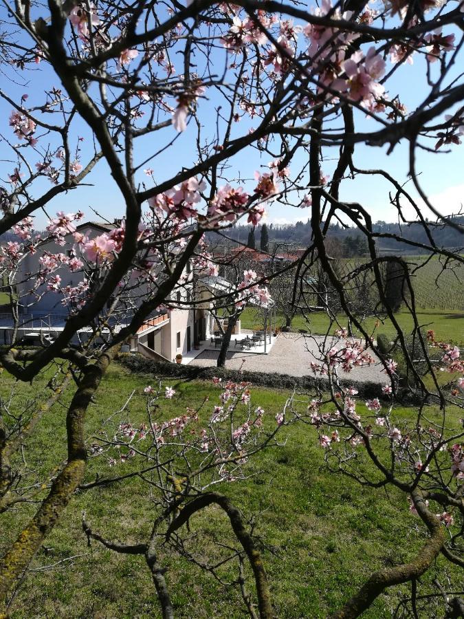 Bed & Breakfast Le Coste Lazise Exterior photo