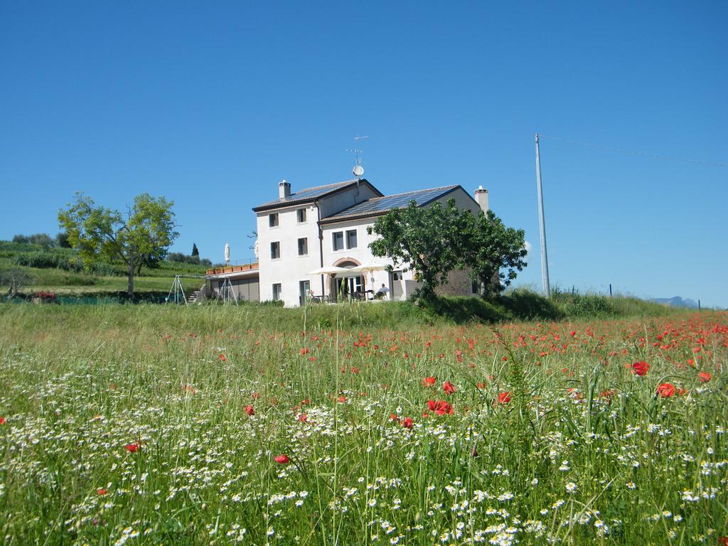 Bed & Breakfast Le Coste Lazise Exterior photo